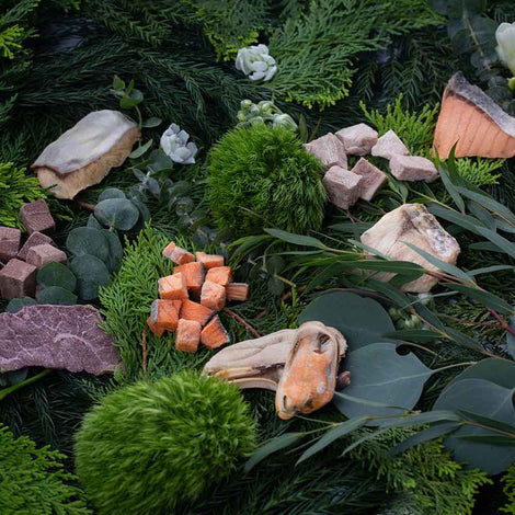 Taki Pets Freeze-Dried Treats For Cats & Dogs — Mouth-Watering Wagyu, Hokkaido Scallops, King Salmon & More!