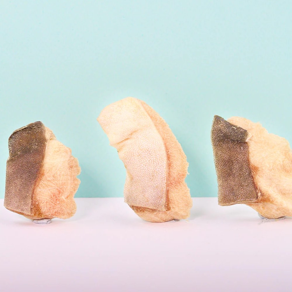 Taki Pomfret Fish Freeze-Dried Treat For Cats & Dogs (1 Packet) 7g