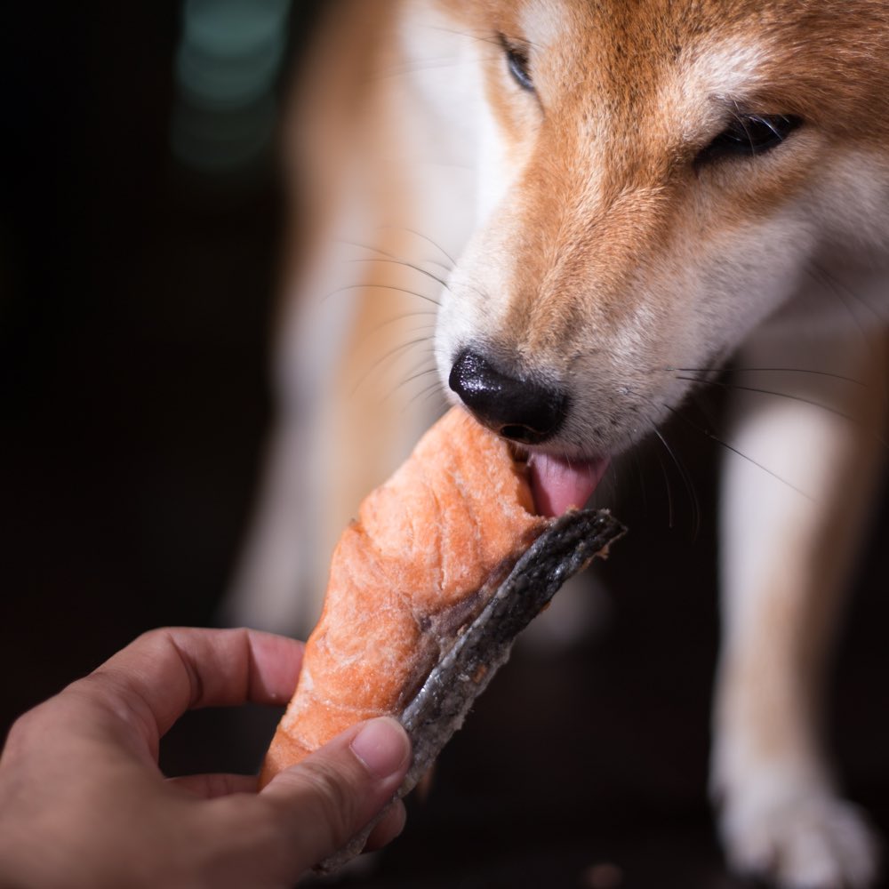 Taki Salmon Steak Freeze-Dried Treats For Cats & Dogs (12 Packets) 90g