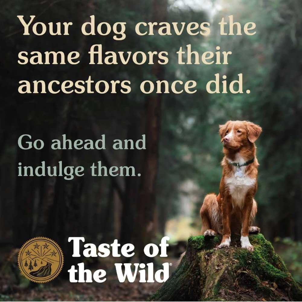 Taste of the Wild Pine Forest with Venison Grain-Free Dry Dog Food