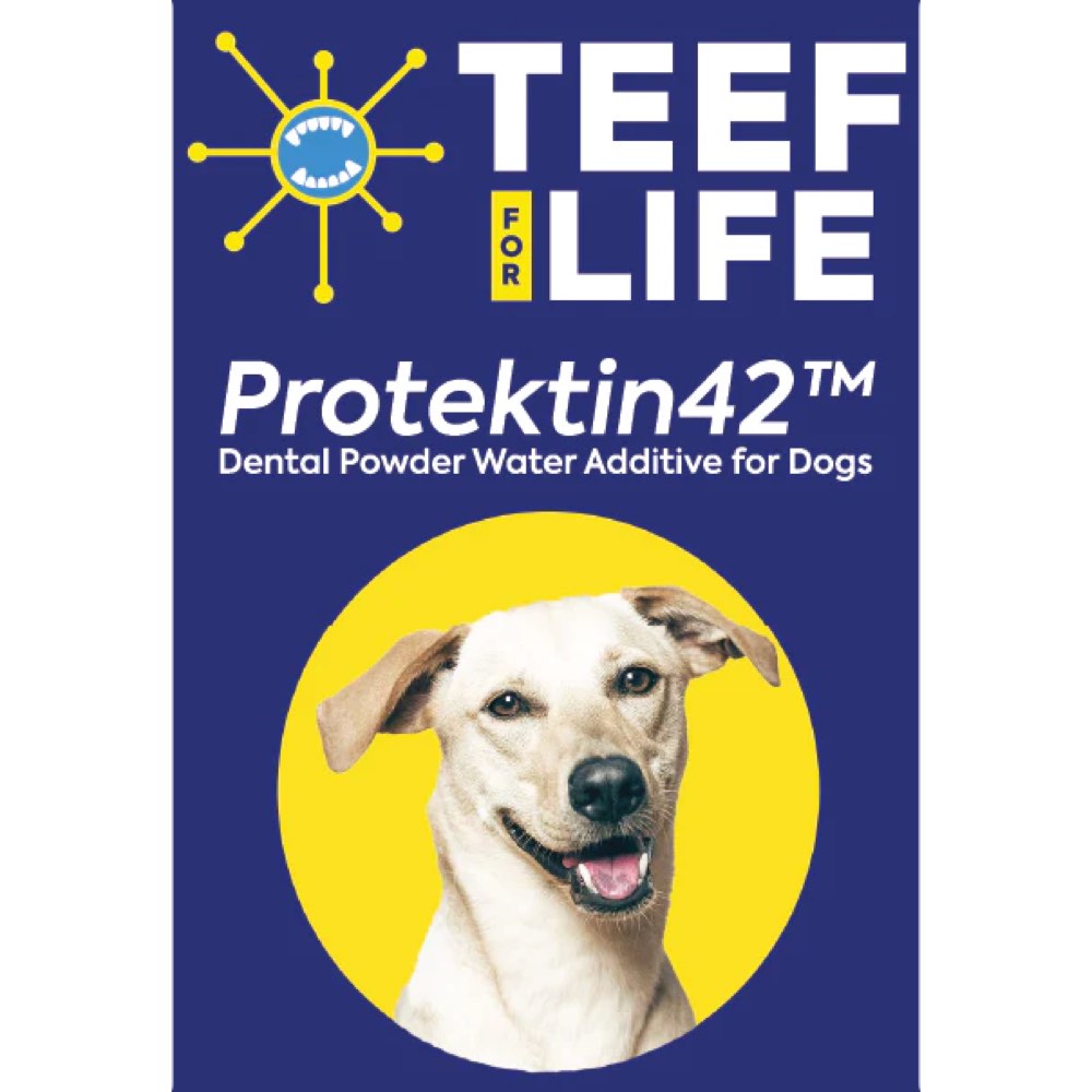 Teef! Protektin42 Prebiotic Dental Powder Dog Water Additive Refill 3g ...