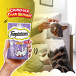 Temptations Creamy Dairy Cat Treats 75g