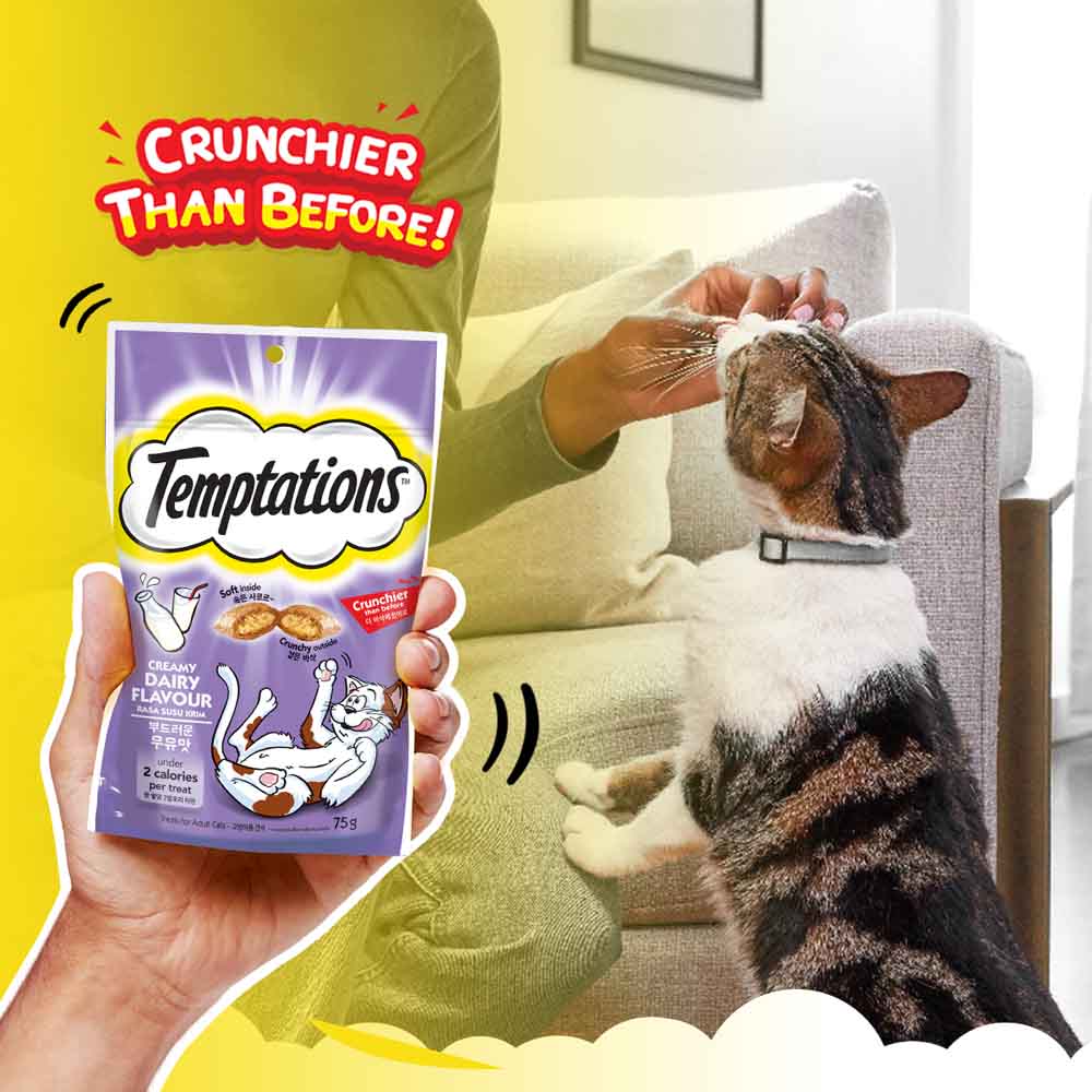 Temptations Creamy Dairy Cat Treats 75g