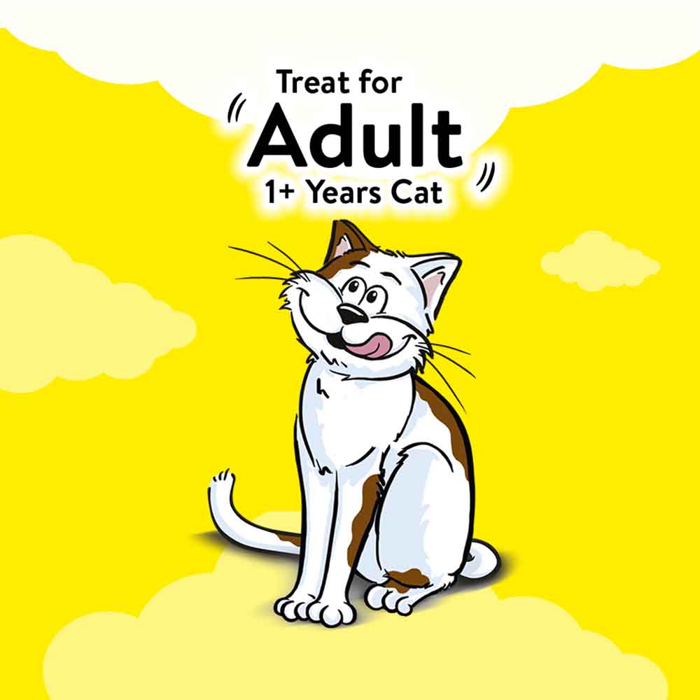 Temptations Savory Salmon Cat Treats 75g