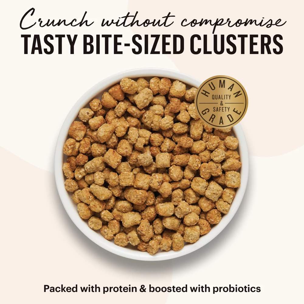 The Honest Kitchen Whole Food Clusters Turkey & Chicken GrainFree Dry