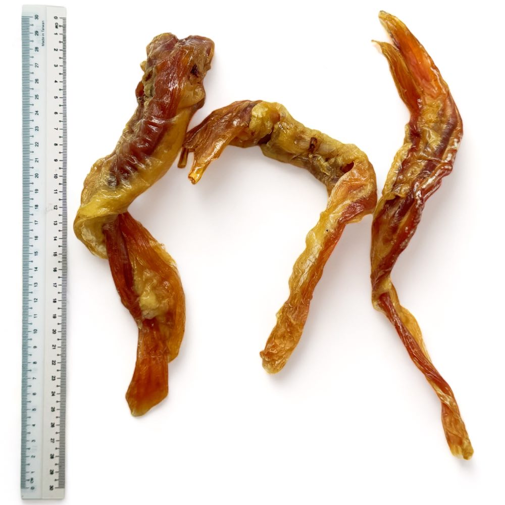 The Source-Sage Club Beef Achilles Tendon Grain-Free Dog Chews 1pc