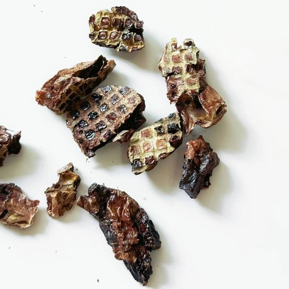 The Source-Sage Club Puff Beef Bites Grain-Free Cat & Dog Treats 70g