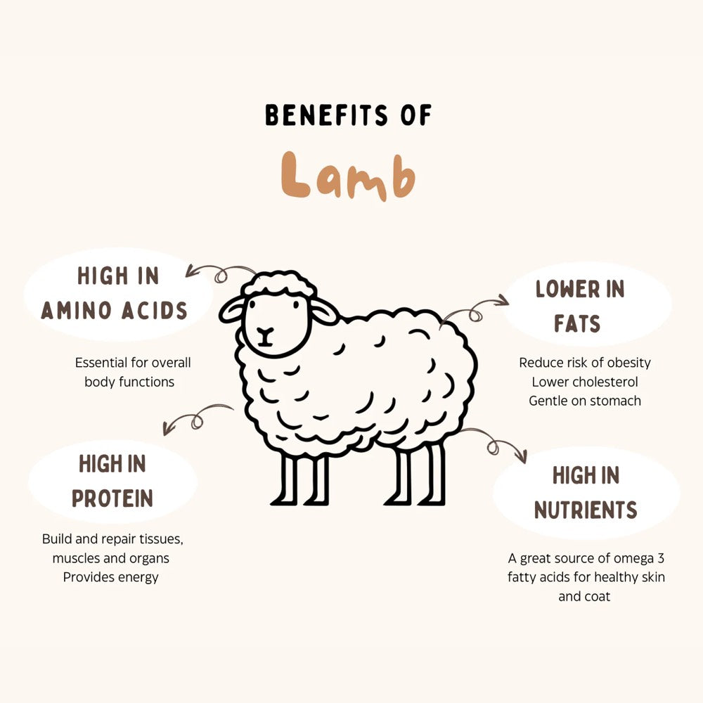 The Source-Sage Club Puff Lamb Bites Grain-Free Cat & Dog Treats 70g