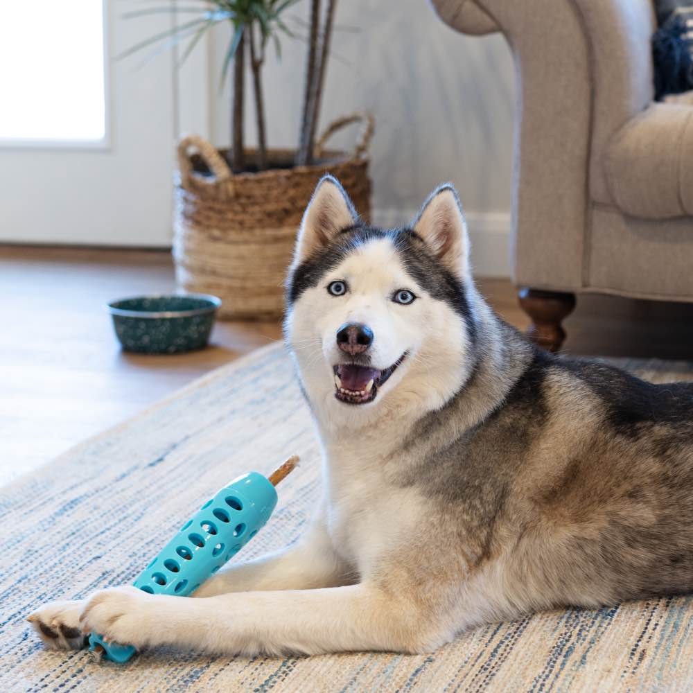 Totally Pooched Stuff'n Chew Rocket Stick Dog Toy (Teal)