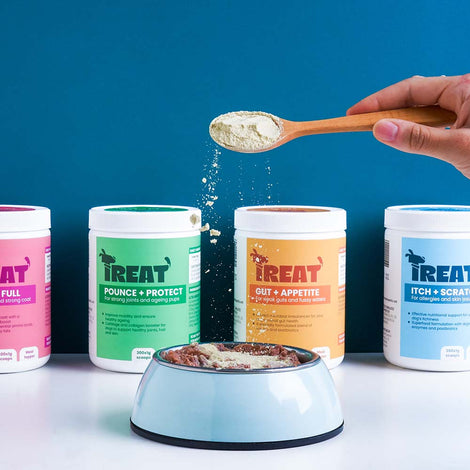 Treat Therapeutics Dog Supplements — Scientifically-Formulated Chews & Meal Toppers