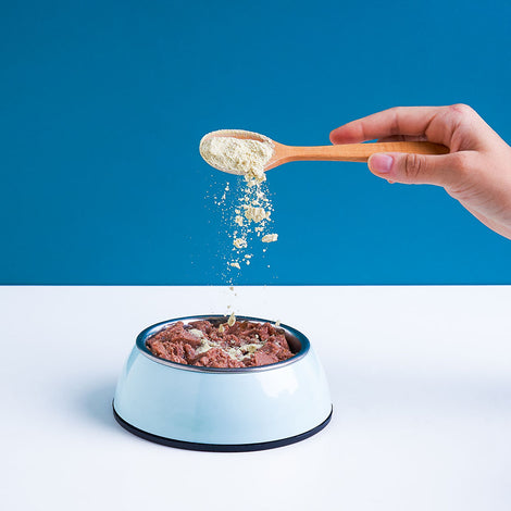 Treat Therapeutics — Is Your Dog Struggling With Allergies, Gut Issues or Fussy-Eating?