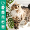 15% OFF: TropiClean Gentle Coconut Hypoallergenic Cat Shampoo 12oz