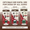 15% OFF: TropiClean Enticers Teeth Cleaning Gel & Kong Dental Ball Dog Toy (Medium)