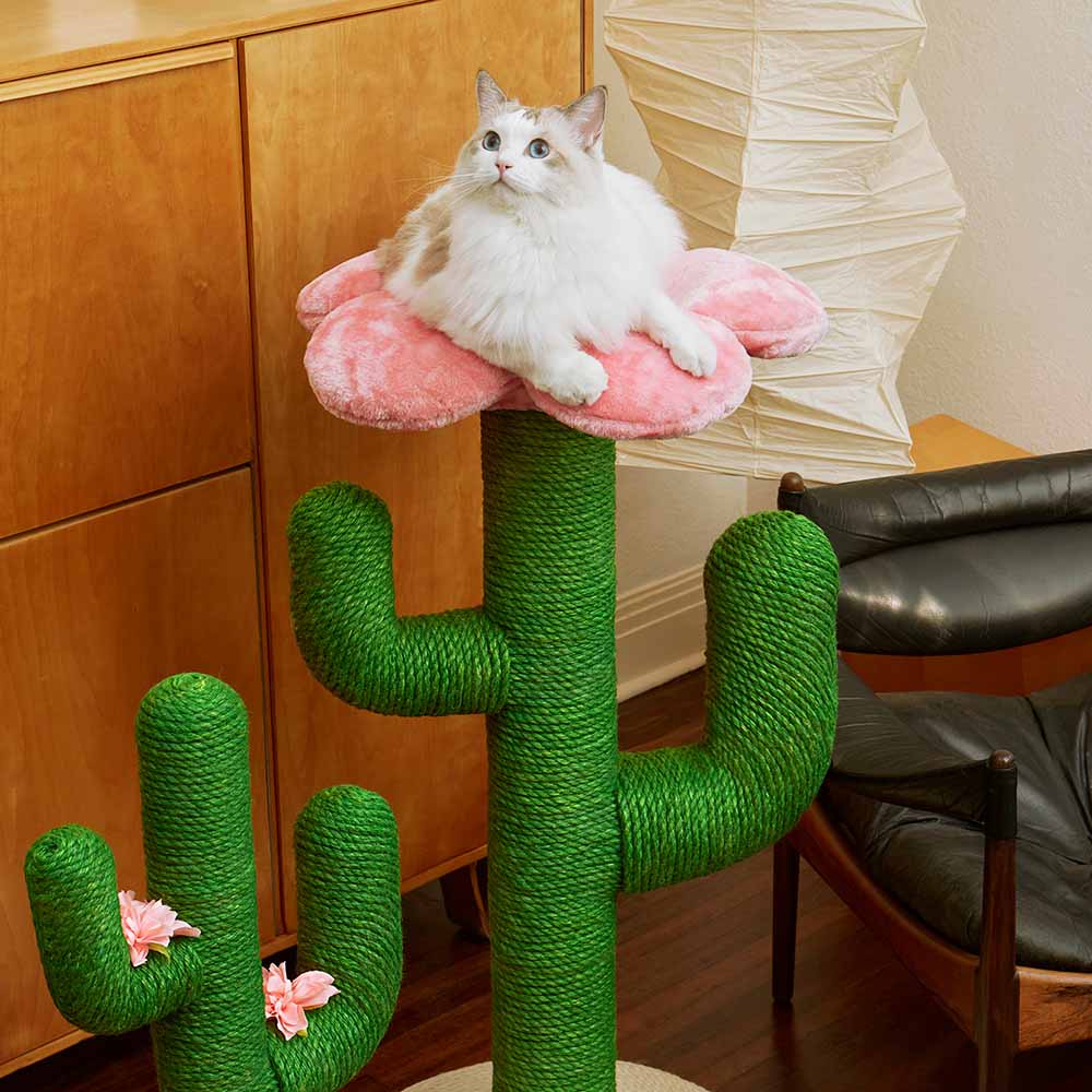 VETRESKA Blooming Cactus Cat Tree Kohepets