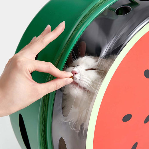 VETRESKA Bubble Carrier For Cats & Dogs (Green, Opaque) Kohepets