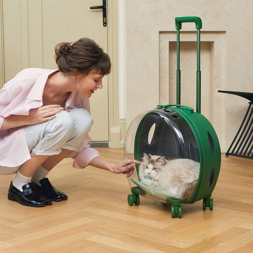 VETRESKA Bubble Carrier For Cats & Dogs (Green, Opaque) Kohepets