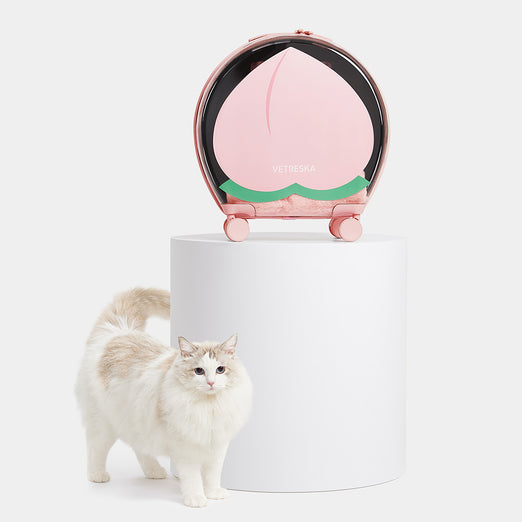 VETRESKA Bubble Carrier For Cats & Dogs (Pink, Opaque) Kohepets