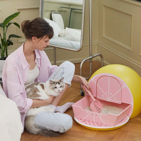 VETRESKA Cat Litter & Litter Boxes — Say Hello To Hassle-Free Cleanup!