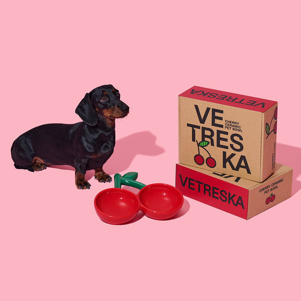VETRESKA Cherry Ceramic Dual Bowl For Cats & Dogs - Kohepets
