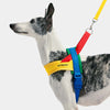 VETRESKA Chroma Dog Harness & Leash Set (Yellow)