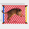 VETRESKA Chroma Elevated Bed For Cats & Dogs (Red)