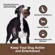 VETRESKA Coffee Feeder Interactive Dog Toy
