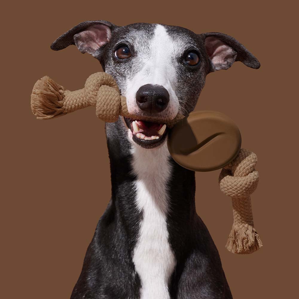 VETRESKA Playful Charm Coffee Knot Rope Dog Toy