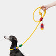 VETRESKA Connect Multi-Function Hands-Free Rope Dog Leash (Chroma)
