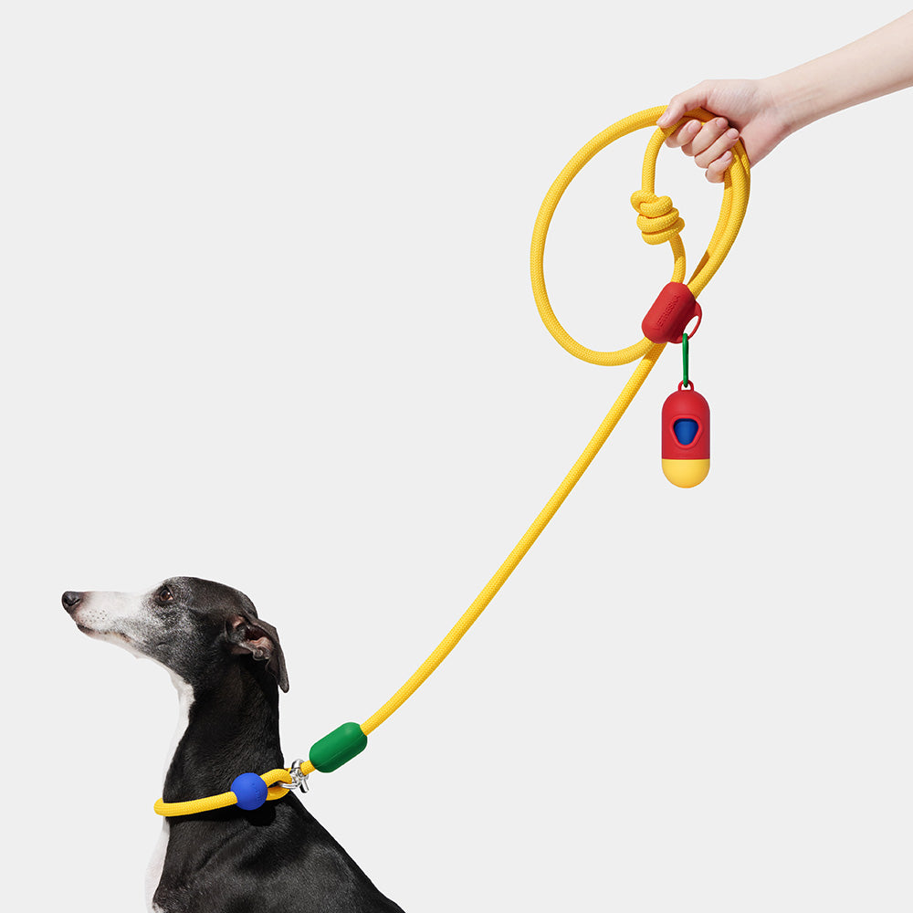 VETRESKA Connect Multi-Function Hands-Free Rope Dog Leash (Chroma)