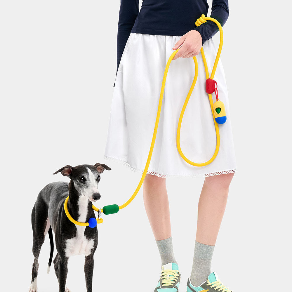 VETRESKA Connect Multi-Function Hands-Free Rope Dog Leash (Chroma)