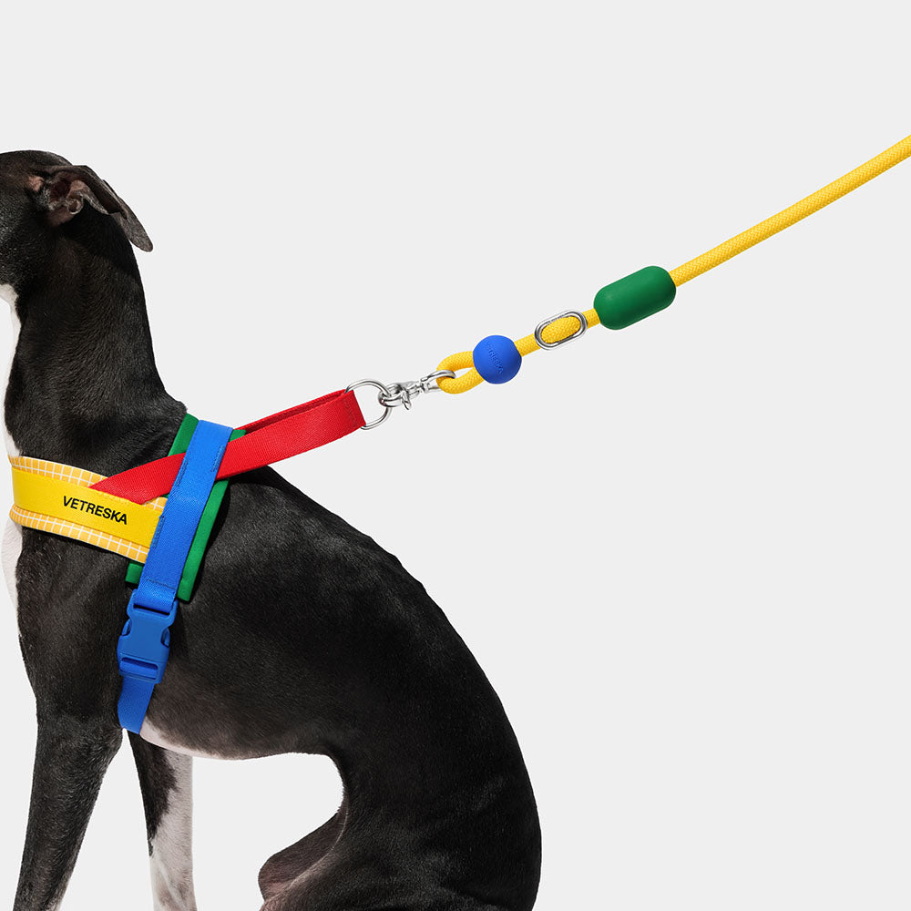 VETRESKA Connect Multi-Function Hands-Free Rope Dog Leash (Chroma)