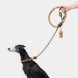 VETRESKA Connect Multi-Function Hands-Free Rope Dog Leash (Coffee) - Kohepets
