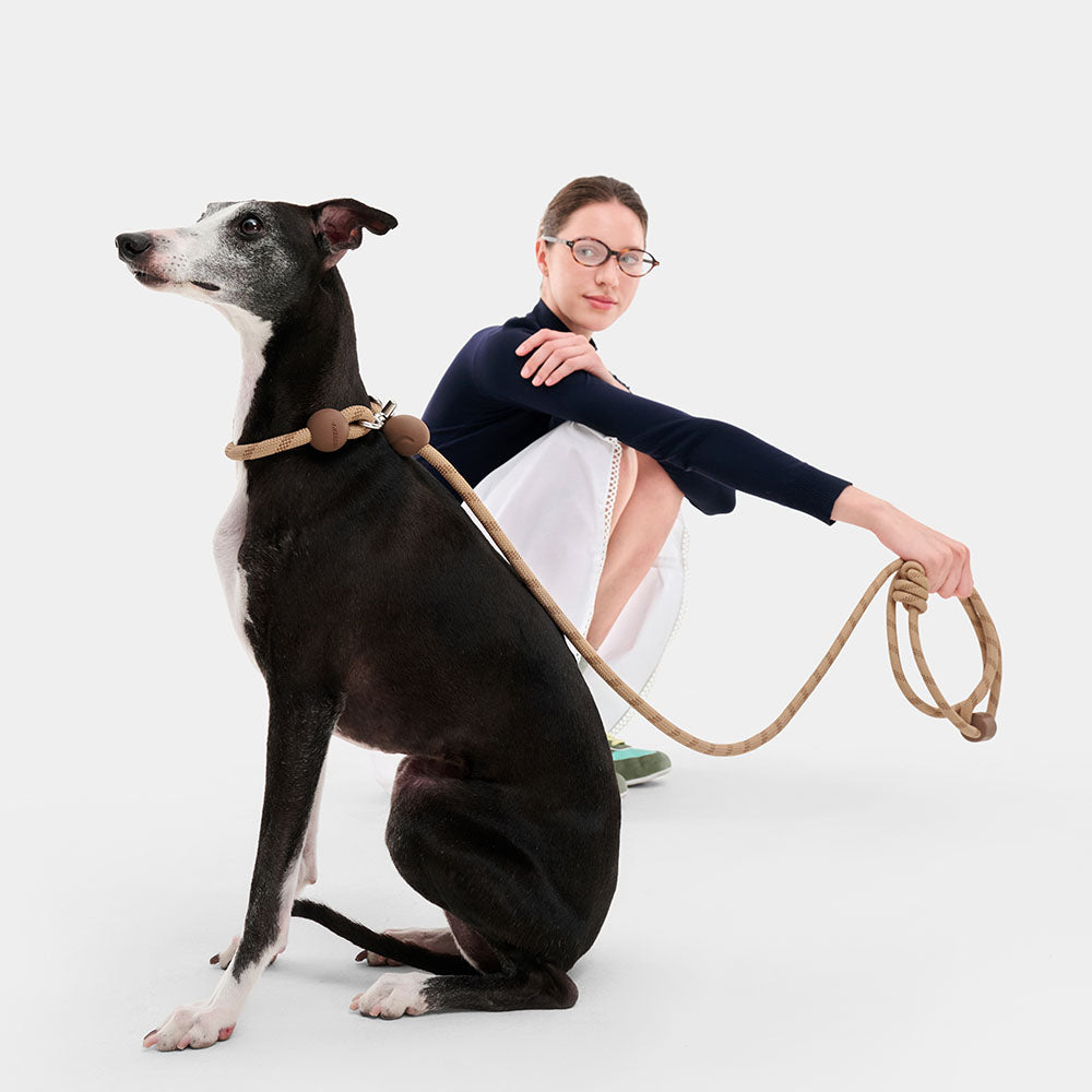 VETRESKA Connect Multi-Function Hands-Free Rope Dog Leash (Coffee) - Kohepets