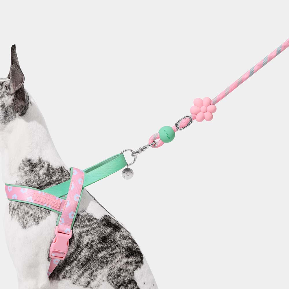 VETRESKA Connect Multi-Function Hands-Free Rope Dog Leash (Flora) - Kohepets