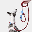 VETRESKA Connect Multi-Function Hands-Free Rope Dog Leash (Mist & Merlot)