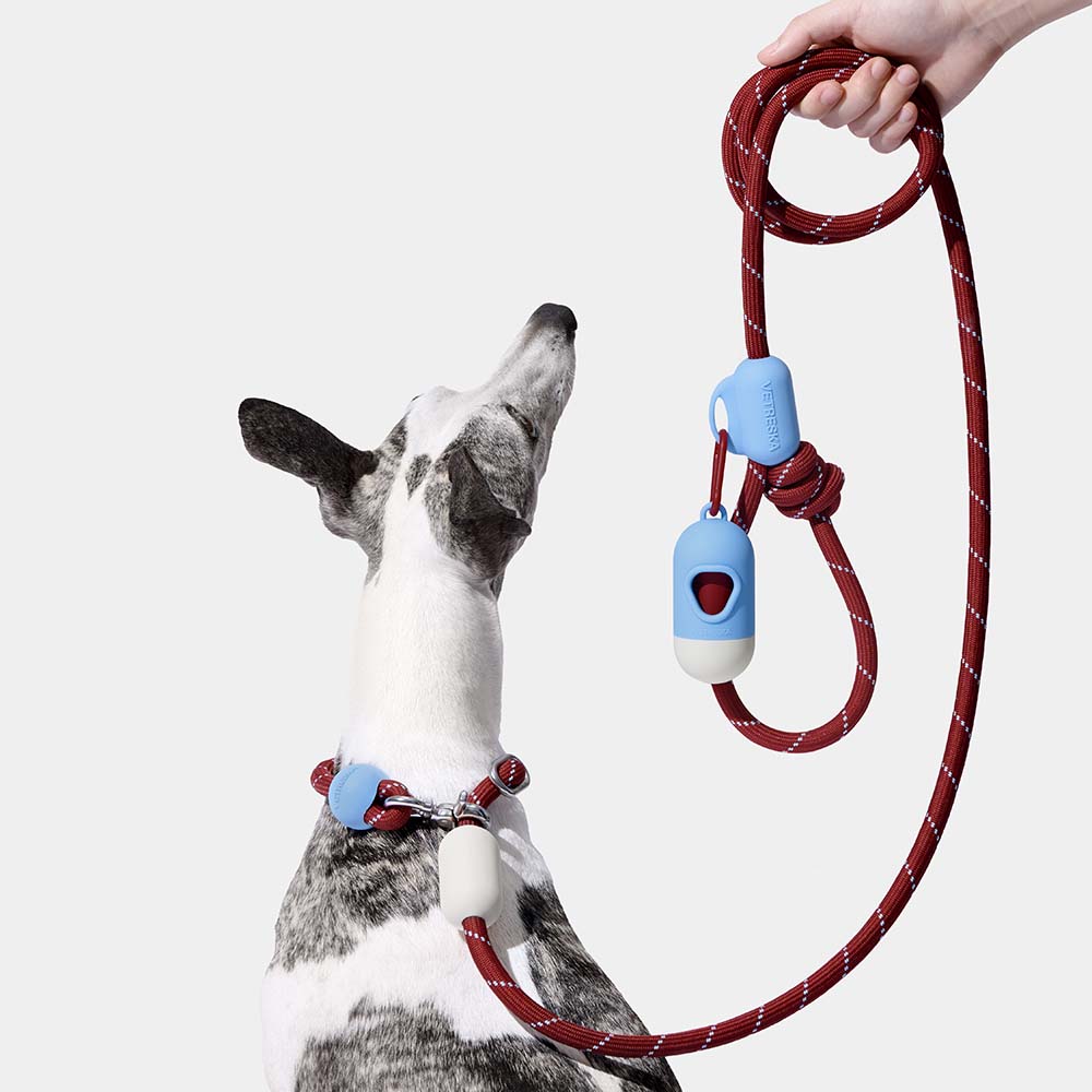 VETRESKA Connect Multi-Function Hands-Free Rope Dog Leash (Mist & Merlot)