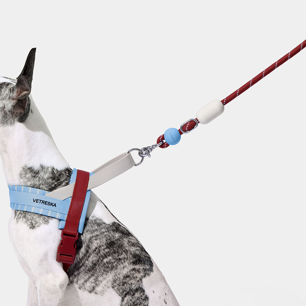 VETRESKA Connect Multi-Function Hands-Free Rope Dog Leash (Mist & Merlot)