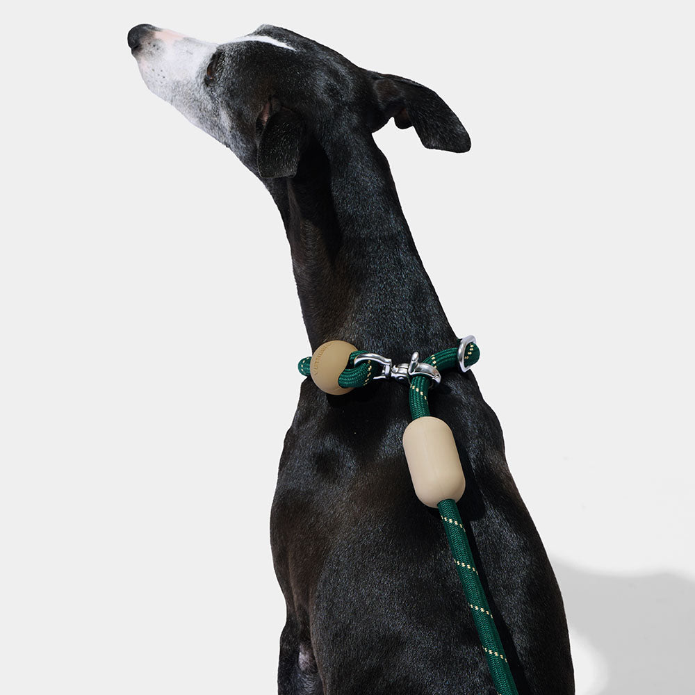 VETRESKA Connect Multi-Function Hands-Free Rope Dog Leash (Santal Forest)