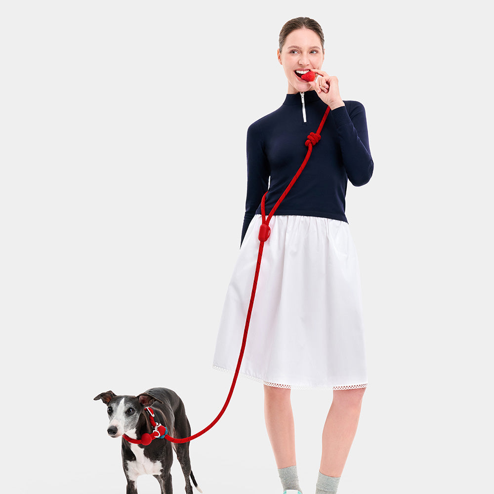 VETRESKA Connect Multi-Function Hands-Free Rope Dog Leash (Strawberry)