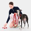 VETRESKA Connect Multi-Function Hands-Free Rope Dog Leash (Strawberry)