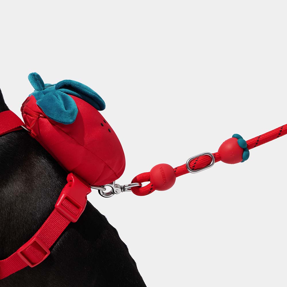 VETRESKA Connect Multi-Function Hands-Free Rope Dog Leash (Strawberry)