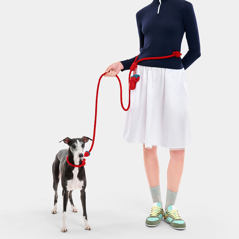 VETRESKA Connect Multi-Function Hands-Free Rope Dog Leash (Strawberry)