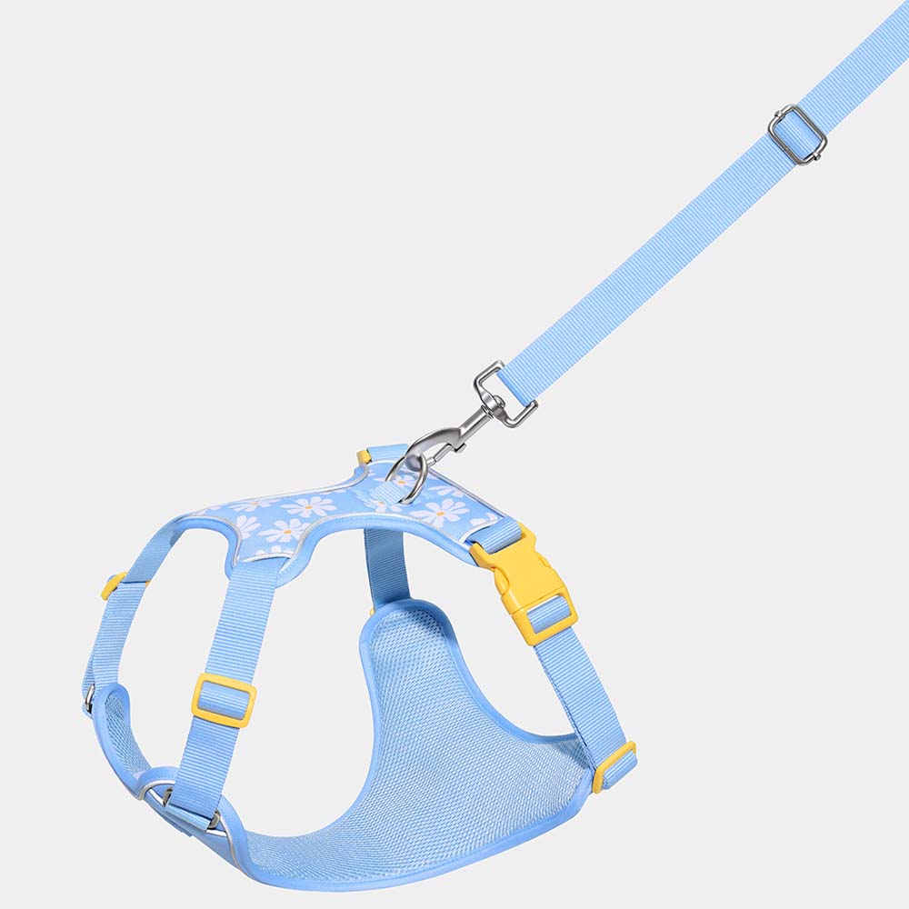 VETRESKA Daisy Dog Harness & Leash Set - Kohepets