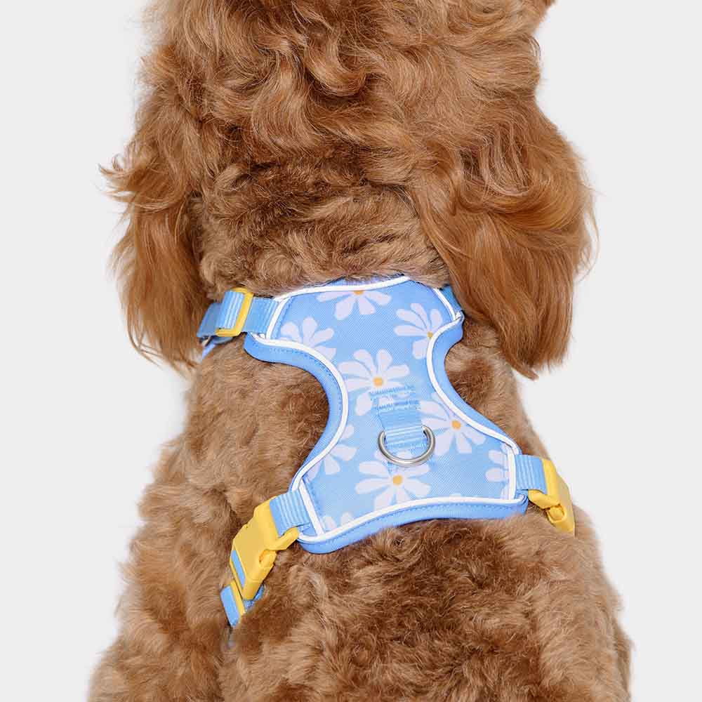 VETRESKA Daisy Dog Harness & Leash Set - Kohepets