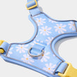 VETRESKA Daisy Dog Harness & Leash Set - Kohepets