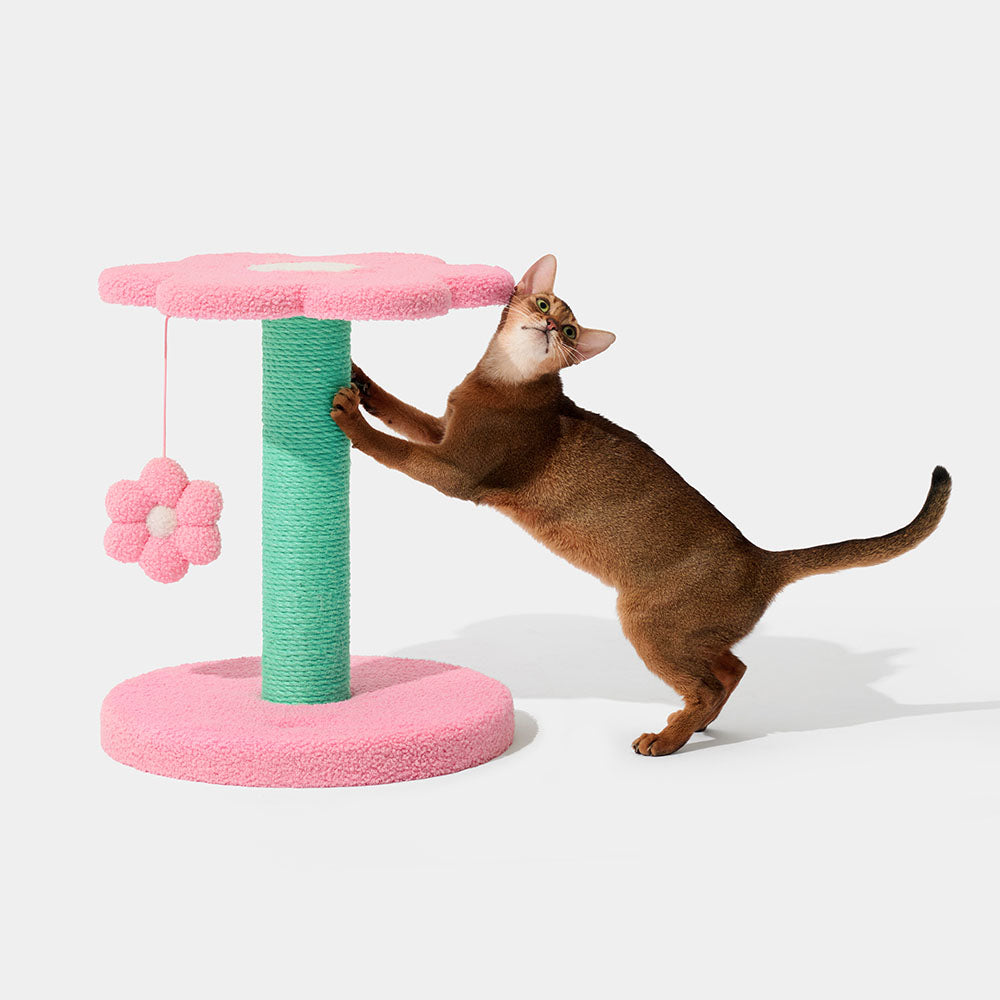 VETRESKA Flora Cat Scratcher Post (2 Platforms) - Kohepets