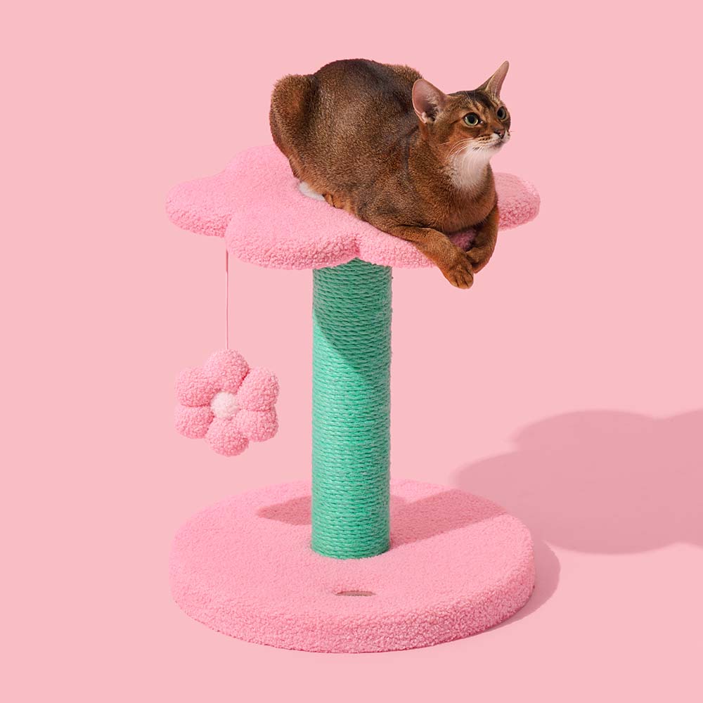 VETRESKA Flora Cat Scratcher Post (2 Platforms) - Kohepets