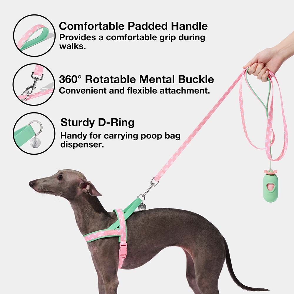 VETRESKA Flora Dog Harness, Leash & Collar Set With Backpack - No Pull Adjustable Vest