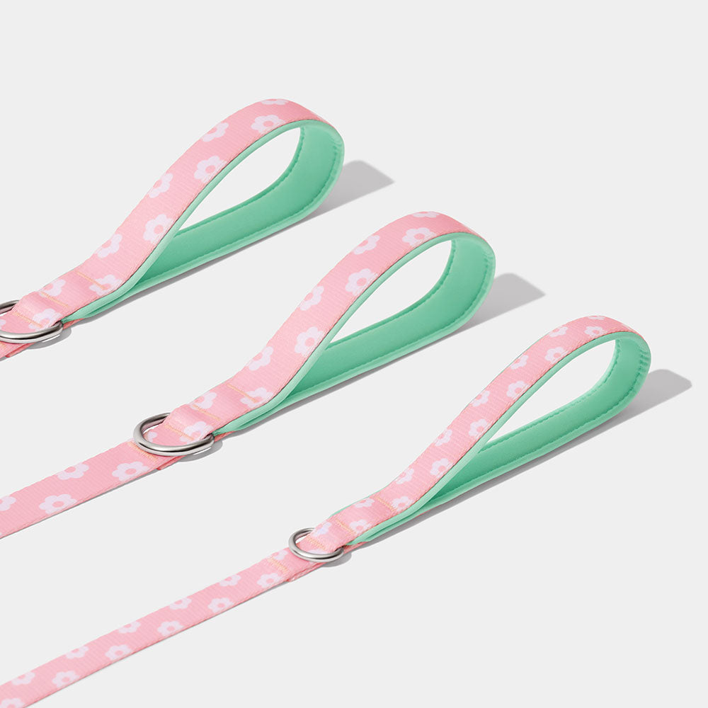 VETRESKA Flora Dog Harness & Leash Set