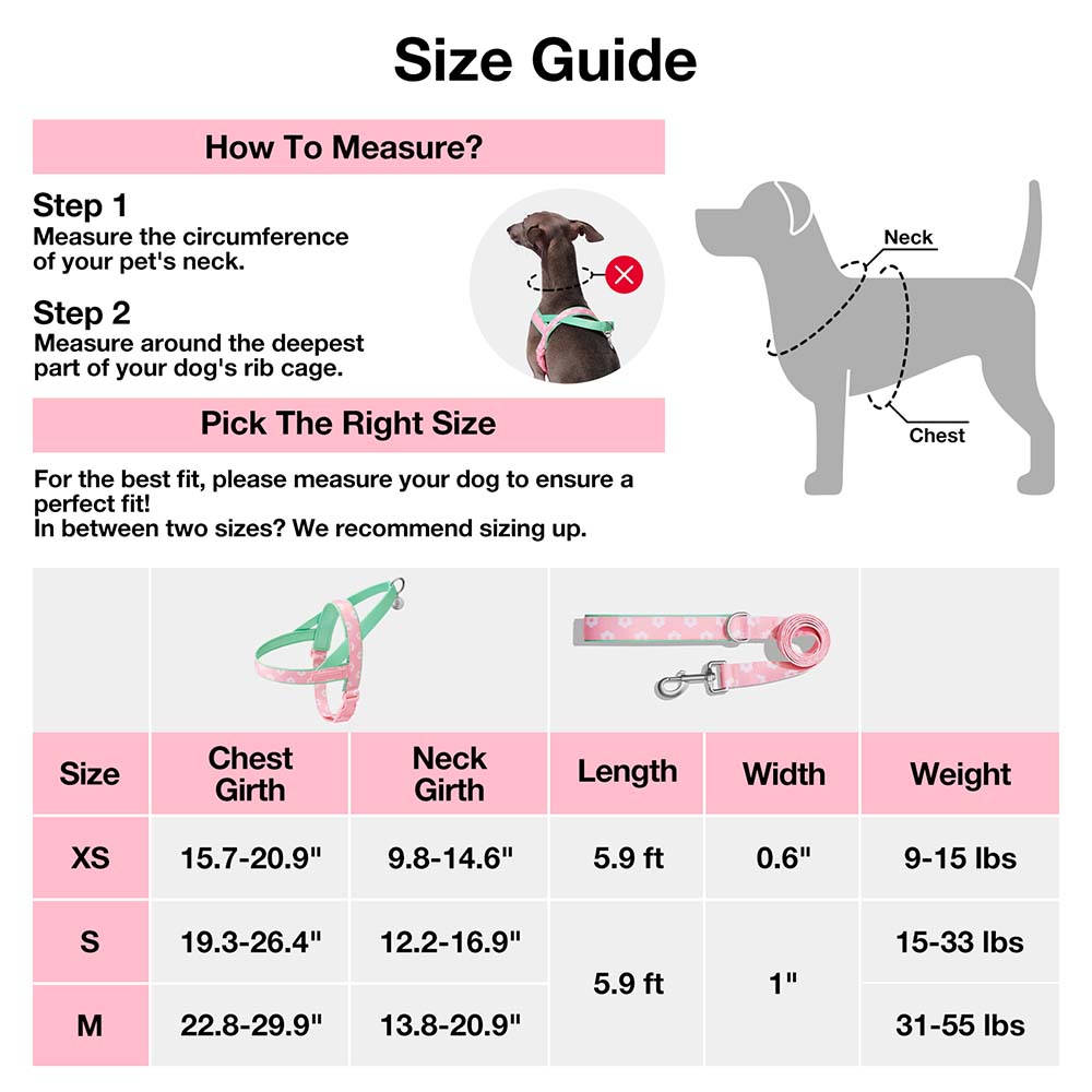 VETRESKA Flora Dog Harness & Leash Set